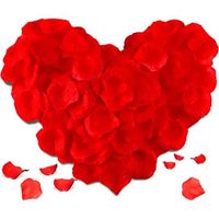 5000 pièces artificielles pétales rouge tissu non tissé mariage saint valentin fête décoration pétales de Rose