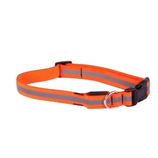 Collier pour chien réfléchissant - Taille L - Orange