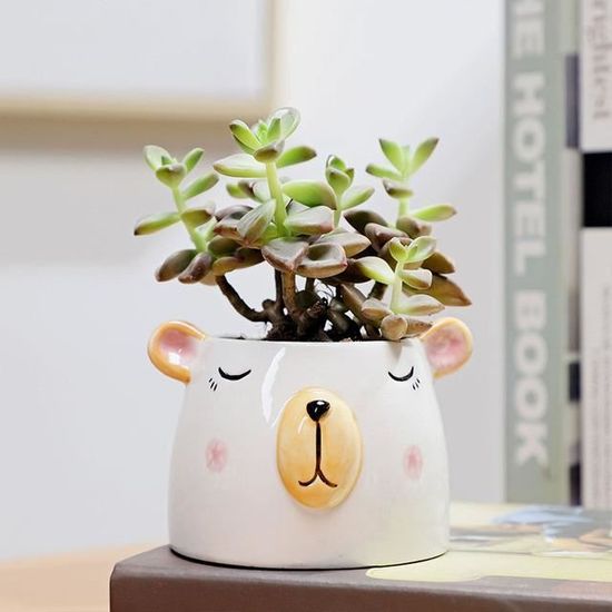 Pot De Fleurs En Céramique En Forme De Dents - Petit Pot Pour Cactus Et Plantes Grasses - Blanc Ou Noir - Dimensions 5,5x3,6 Cm