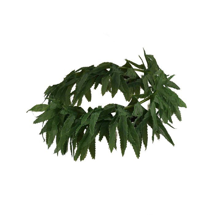Bandeau feuilles tropicales
