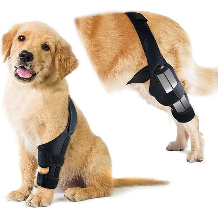 Aishang Genouillère Chien Patte Arrière M Aide Récupération ACL Réglable Soutien Ligament Croisé pour Chien noir KIT SECURITE