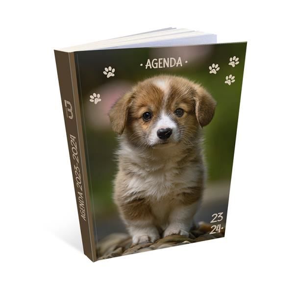 Agenda scolaire - Chien - Petit chien - 2023/2024 - 1 page par jour - Août  2023 à août 2024 - Cdiscount Beaux-Arts et Loisirs créatifs
