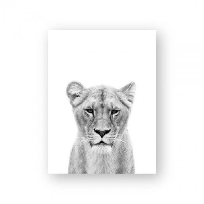 Version x25 Cm No Frame Ph6027 Lion Cub Imprimer Ir Et Blanc Lionne Animaux Affiches Safari Pepiniere Decor Mural Bebe Animal Cdiscount Maison Version x25 Cm No Frame Ph6027 Lion Cub Imprimer Ir Et Blanc Lionne Animaux Affiches Safari Pepiniere Decor Mural Bebe Animal Cdiscount Maison