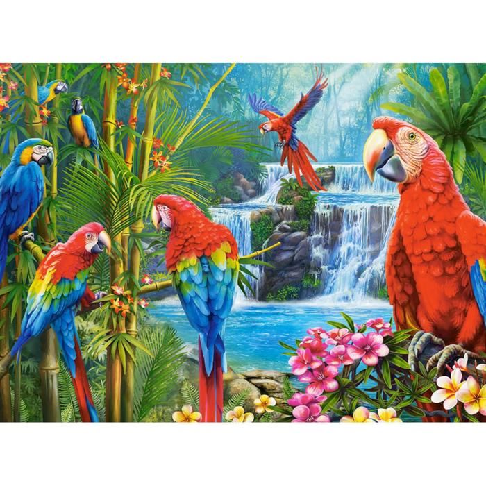 Puzzle 2000 pièces : Rencontre de perroquets