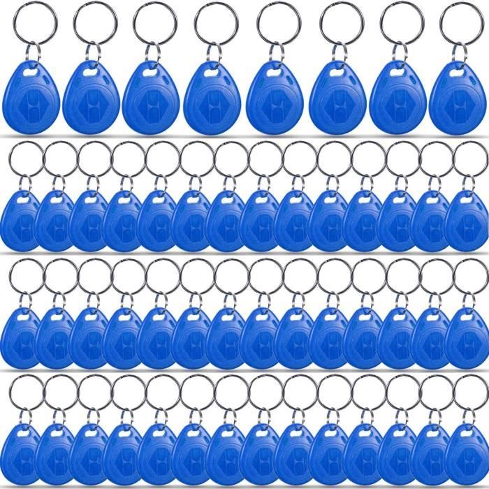 Lntyq Lot De 20 Porte-clés Avec étiquettes Multicolores Faciles à Lire, Pour Bagages, Animaux