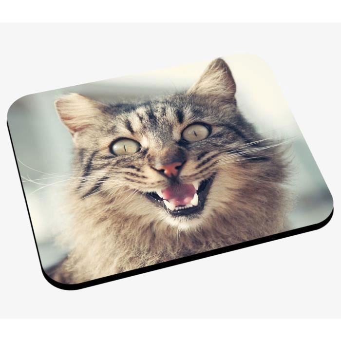 Tapis De Souris Chat Brun Tigre Qui Parle Mignon Animaux Cdiscount Informatique Tapis De Souris Chat Brun Tigre Qui Parle Mignon Animaux Cdiscount Informatique