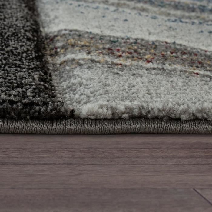 Tapis De Salon Poils Longs Gris 200x300 Cm – Lavable, Antidérapant, Ultra Moelleux Pour Chambre & Salon