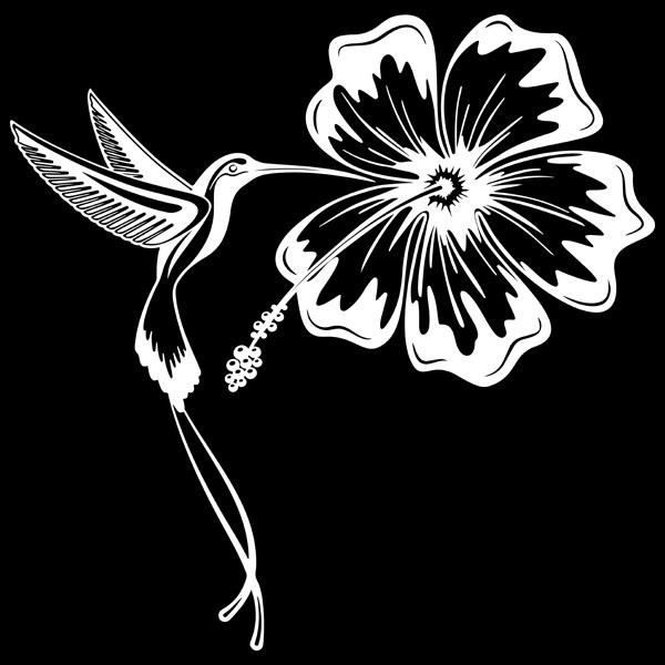 Sticker autocollant MADININA COLIBRI Martinique fleur Hibiscus oiseau decal 