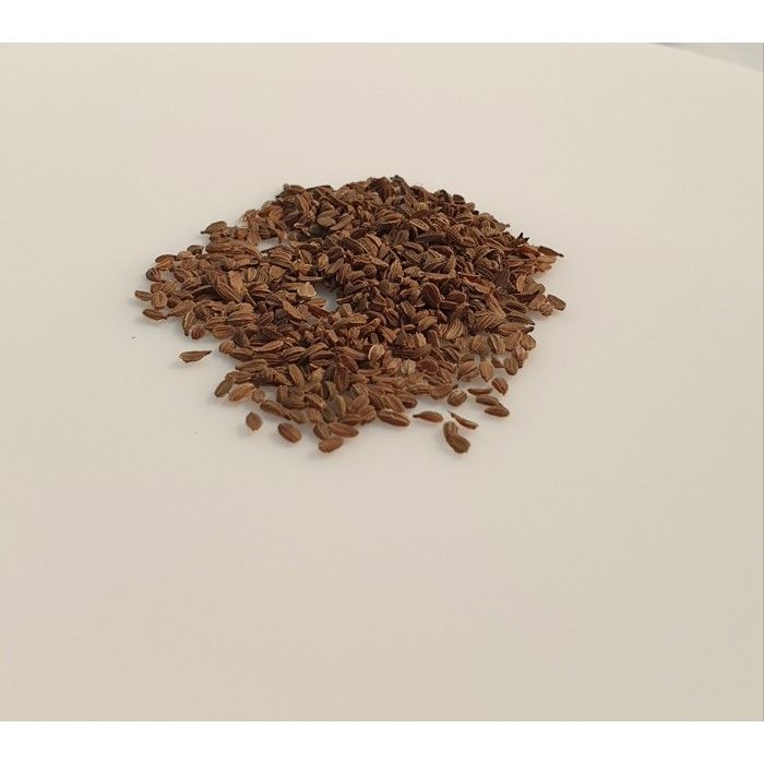 Sativa Carotte Bio "Chantenay à Coeur Rouge 2", 1 Sachet - Suisse