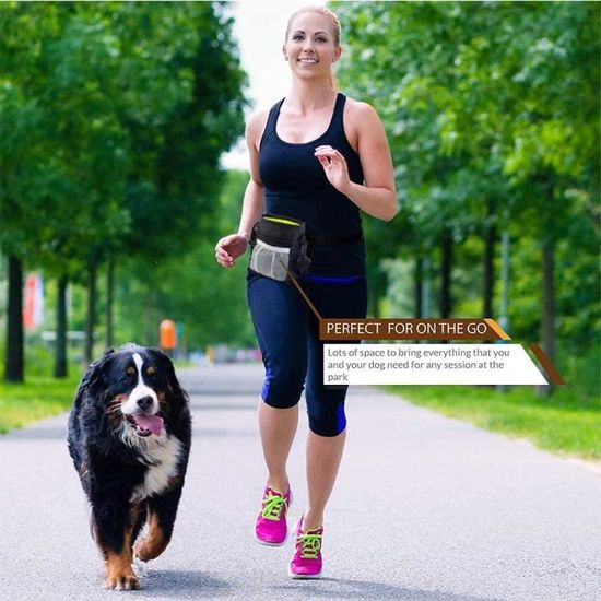 Sac De Dressage Pour Chien, Pochettes à Friandises De Nourriture Traiter, Poches De Formation D'animal Avec Clip Ceinture Ajustable