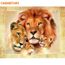 Sans cadre Lions famille animaux peinture à la main par numéros acrylique photo