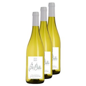 VIN BLANC Union des viticulteurs de Chablis - Lot 3x Vin bla