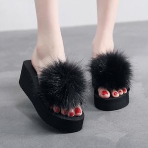 compensees hiver