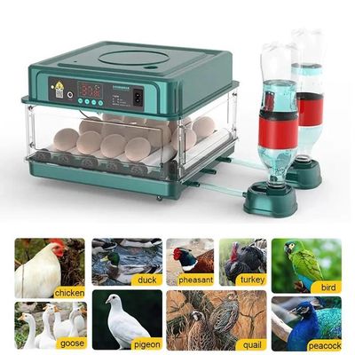Couveuse Automatique 12 Œufs – Retournement Auto, Contrôle Température/Humidité, Idéale Pour Poulets, Canards, Cailles – Taux D'Éclosion Élevé !