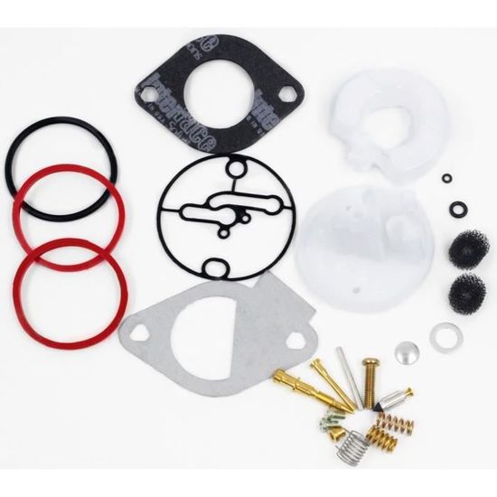 Oregon 49-305 Kit De Remplacement De Carburateur Briggs & Stratton 492495 493762