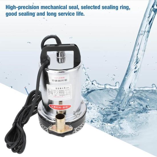 SUDEG Pompe Submersible DC 12V 6000L/H 160W - Acier Inoxydable - Pour Eaux Sales, Solaire, Ferme, Pâturage