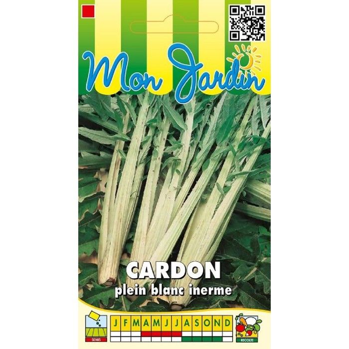 Graine - Semence - Cardon plein blanc Inerme