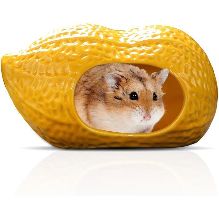 Maison En Céramique Pour Hamster Forme Cacahuète 15x9x10 cm Abri Frais Facile À Nettoyer Pour Petits Rongeurs