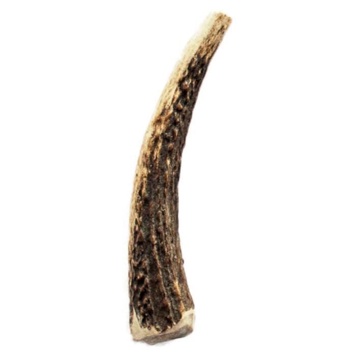 animalis friandise bois de cerf entier pour chien s cdiscount