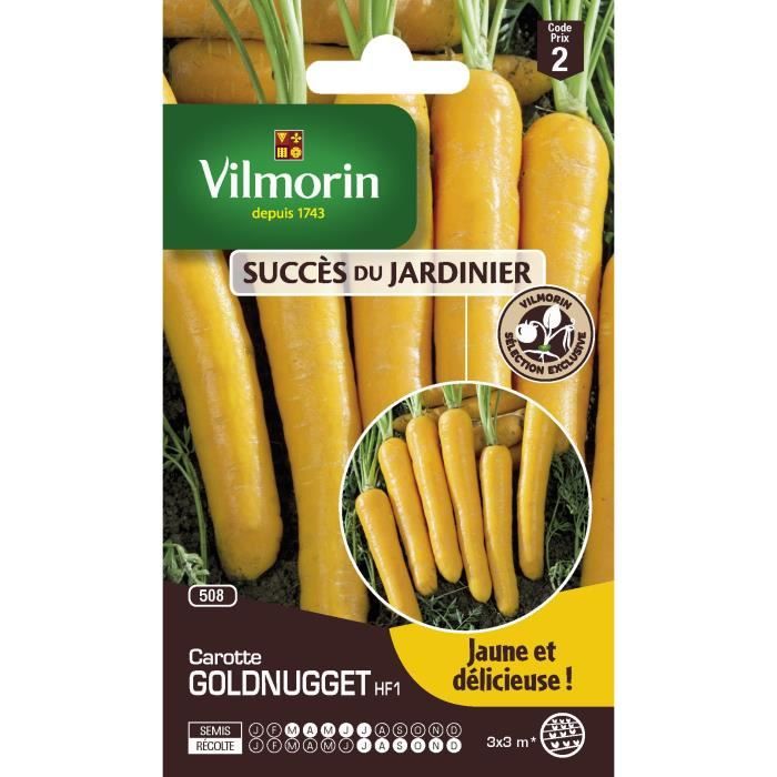 Carotte nantaise goldnugget hf1 - VILMORIN - Graines de légumes - Résistante au gel - Racines colorées