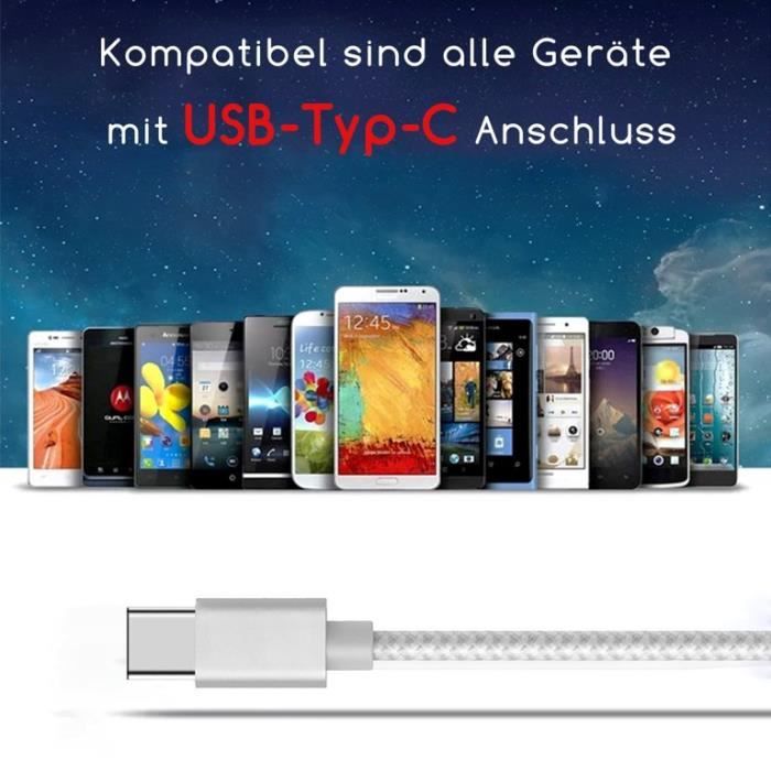 Double Adaptateur cable diviseur Type C prise jack 3.5mm chargeur USB-C  Argent pour Samsung Galaxy S20 FE 5G - Yuan Yuan