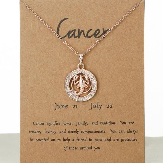 Pendentif Argent avec joli collier Taille 45,7 cm avec rallonge signe du zodiaque