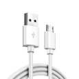 Chargeur pour Samsung Galaxy A10 / A02 / A03 / A10s Cable Micro USB Data Synchro Blanc 1m-0