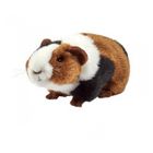 ANIMA1 - ANIMA Peluche cochon d'inde 17 cm - ANIMA - Plush - Marron - Beige - Pour Enfant dès 3 ans