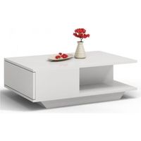 ZEKE - Table basse contemporaine 90x60x42 salon/séjour/bureau + niche rangement - Table style scandinave moderne - Table d'appoint