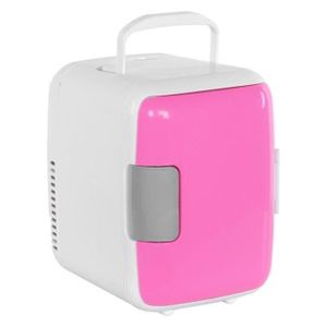 Mini Frigo 4 Litres Achat Vente Pas Cher
