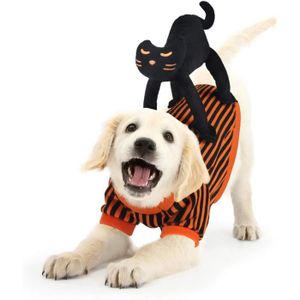 Manteau Pour Chat Cdiscount