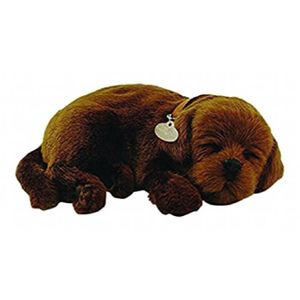 Keel Toys 64781 Jouet de Premier Age Chien Chocolat Labrador 30 cm Peluche 