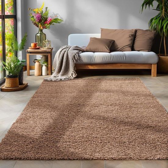 Tapis à Poils Ras Uni Marron 80x150 Cm - Tapis Moderne Salon Chambre Style Minimaliste