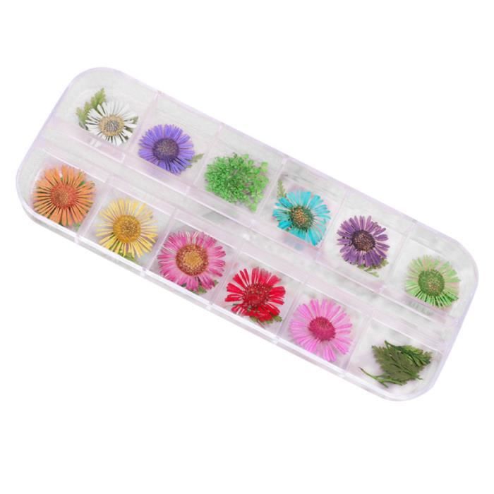 1 boîte de fleurs séchées à ongles naturels feuilles décoratives pour fournitures de tatouage décalque pour dames VERNIS A ONGLES