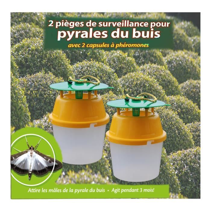 Piège pour pyrales du buis avec capsule de phéromone