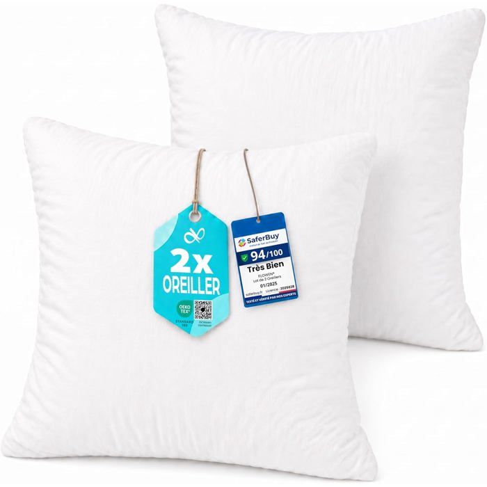 Coussin Canape 40X40 Lot De 2 Oreillers Decoratif Accessoires Pour Sofa Decoration Aesthetic Pour Salon Et Exterieur Antiallergiqu