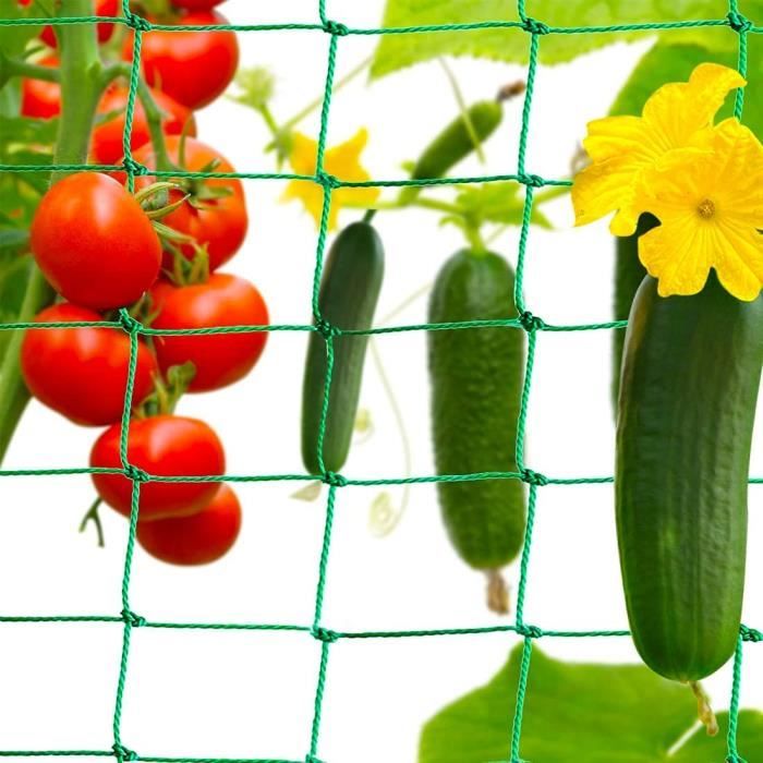 Filet Pour Plantes Grimpantes, 2 M X 5 M Filet De Soutien Pour Plantes