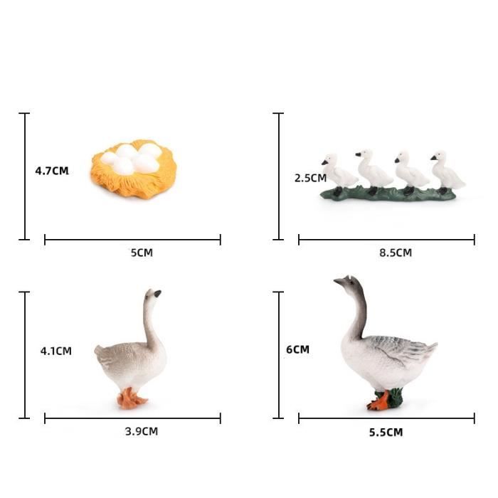 Cycle de vie des végétaux et des animaux. Figurines jeux Cycle de vie des végétaux et des animaux. Figurines jeux