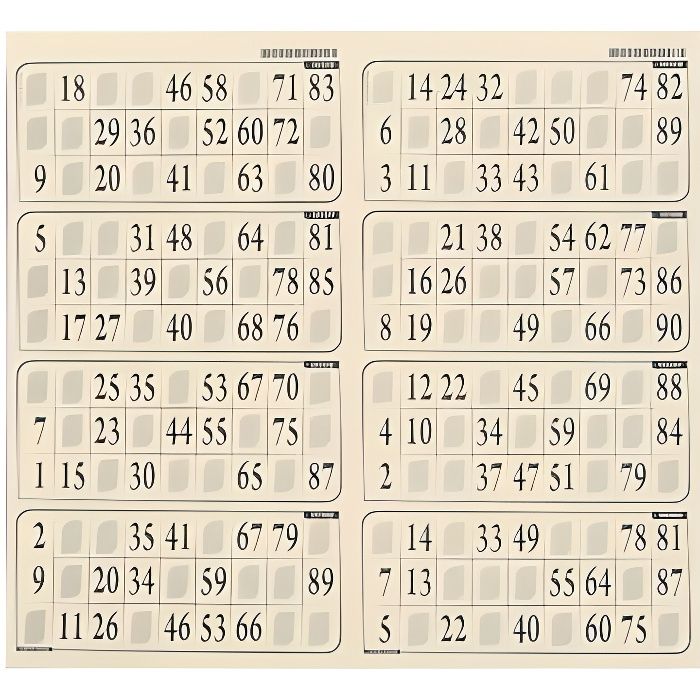 Plaque De 8 Cartes De Loto Epaisseur 1 Mm Achat Vente Loto Bingo Cdiscount