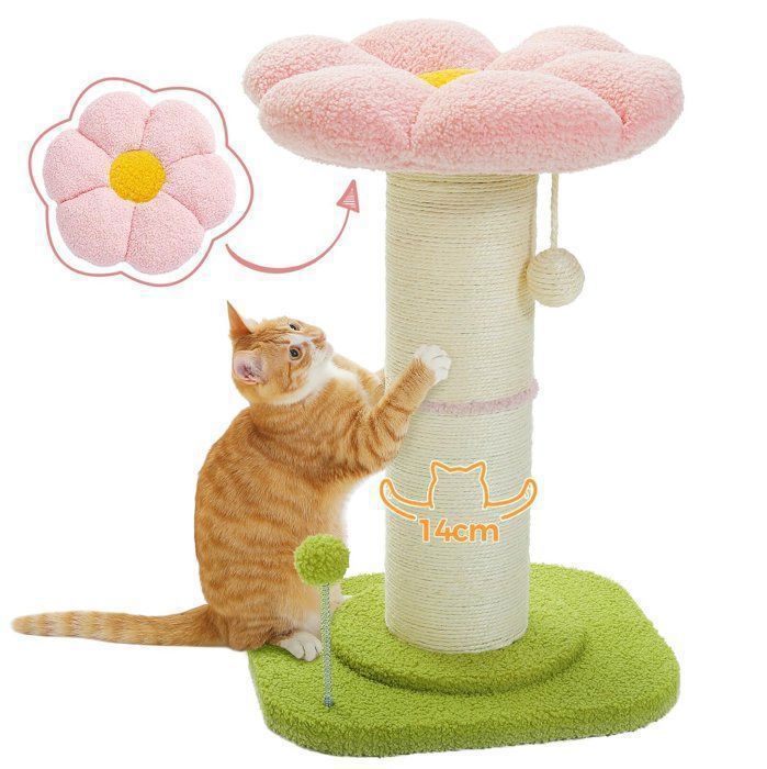 Meilleurs prix pour PAWZ Road Arbre a Chat Fleur, Griffoir pour Chat en Forme de Fleur avec Coussin Amovible, Pompon et Boule à Ressort, 60cm, Rose