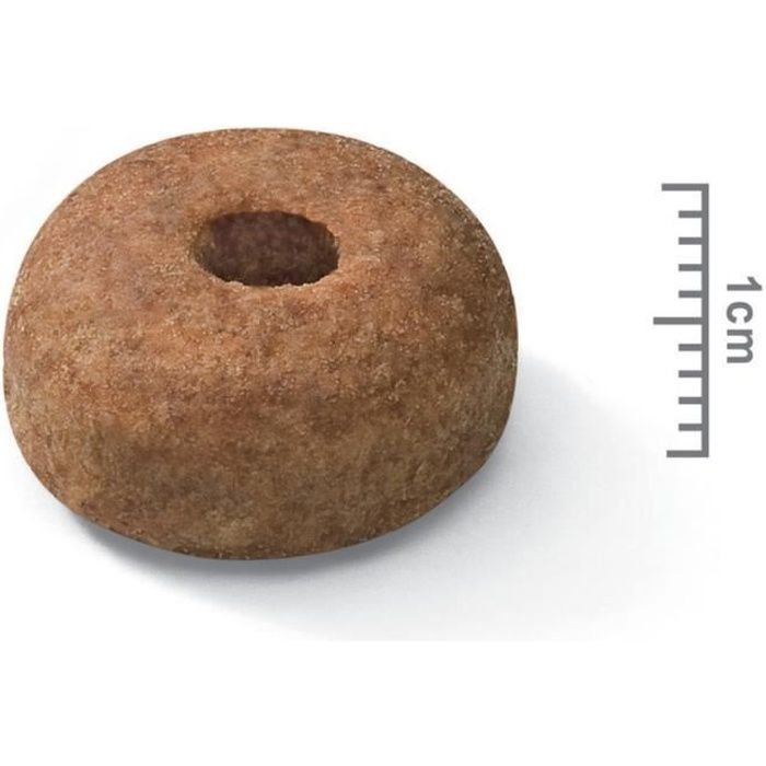 Royal Canin - Croquettes Maxi Sterilised pour Chien Adulte Stérilisé - 3Kg