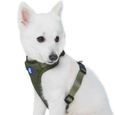 Blueberry Pet Essentials Better Basics Harnais pour chien sans traction avec clip pour laisse arrière, Vert militaire ,  Large-1