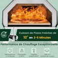 GIANTEX Four à Pizza Extérieur en Inox à Bois/Charbon/Granulés avec Thermomètre et Cheminée Amovible,Pierre à Pizza+Pelle fournis-1