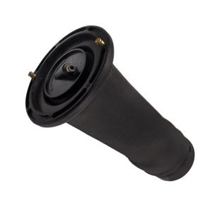 2x Arrière Air Ressort pneumatique Pour Land Rover Discovery II 98-04 RKB101200