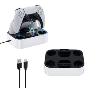 DOCK DE CHARGE MANETTE Station de charge double charge, Protection intell