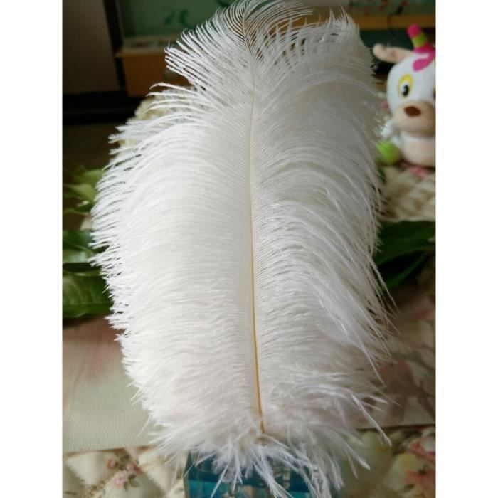 Nouveau! 50 pc plumes d'autruche de haute qualité, 8 10 \