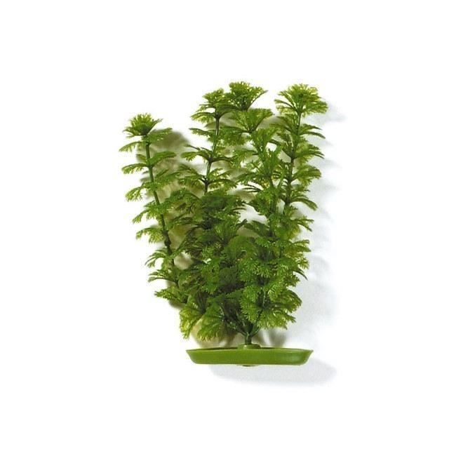 AQUA Plantes artificielles Marina Ambulia 20 cm - Plastiques - Vertes - Pour aquarium