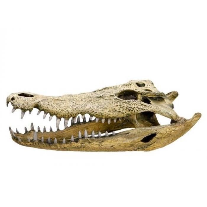 NOBBY 28108 DÉCORATION D'AQUARIUM CRÂNE DE CROCODILE