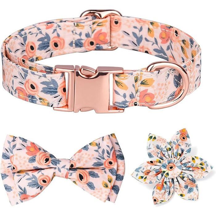 Meilleurs prix pour Collier pour Chien avec Noeud Papillon Détachable et Motif Floral Gravé, Collier pour Chien avec Boucle en Or Rose, Moyens Grand