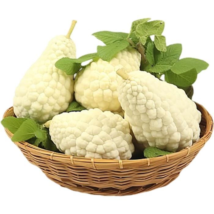 Graines de melon amer chinois Balsamine à feuilles de concombre Blanc Set de 10 pièces